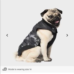 Canada Pooch Summit Stretch Vest in size 10